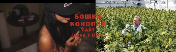 молекула духа Майский