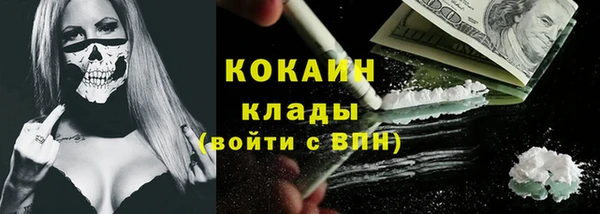 спиды Магас