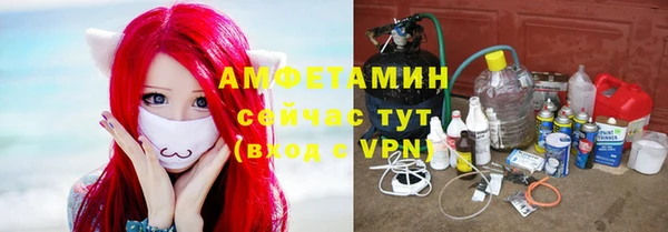 молекула духа Майский