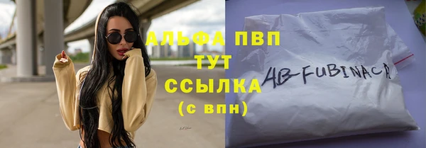 спиды Магас