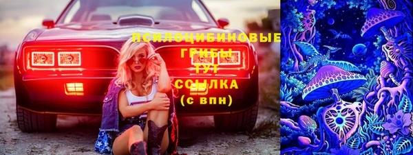 гашик Медногорск